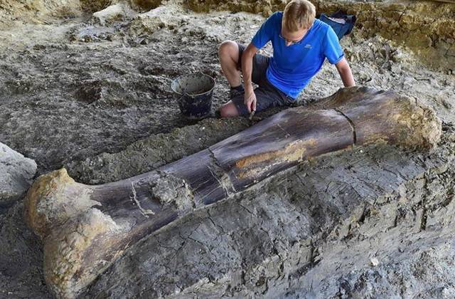Во Франции обнаружена двухметровая бедренная кость