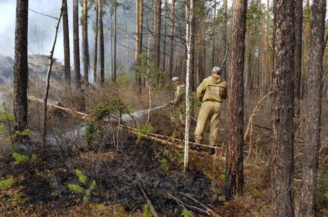 В Сибири около 500 населенных пунктов заволокло дымом от лесных пожаров