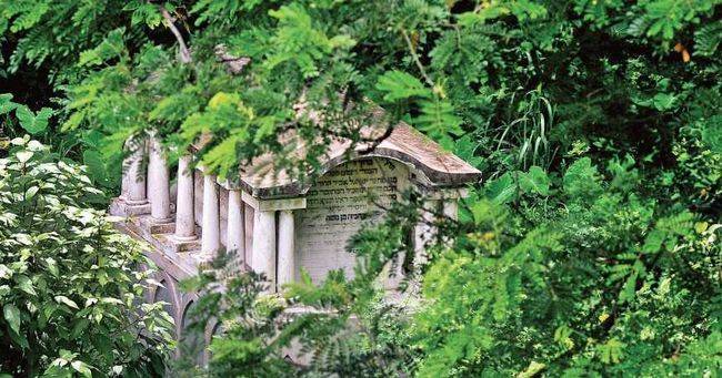Активист пытается спасти 200-летнее еврейское кладбище в Индии