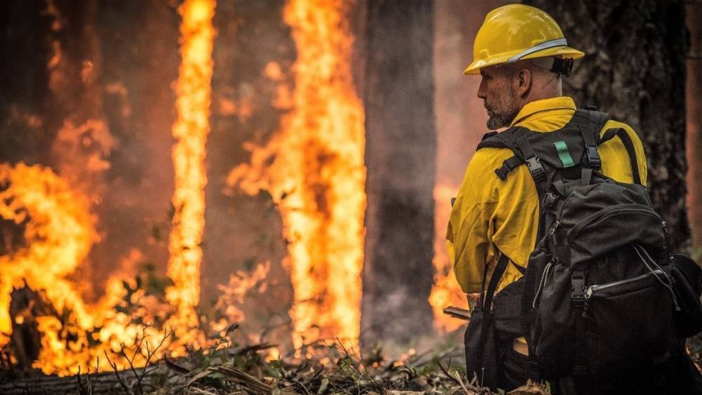 МЧС РФ увеличит группировку по тушению лесных пожаров