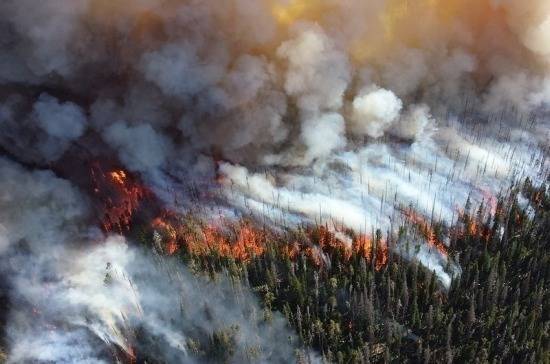 МЧС усилит группировку для тушения лесных пожаров в Сибири