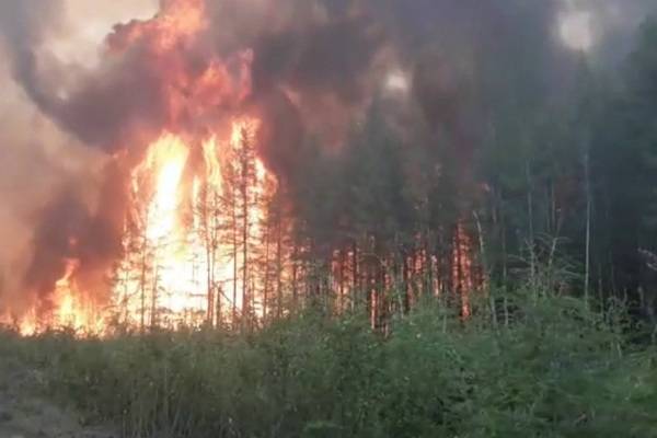 Тушить пожары: петиция с требованием ввести режим ЧС в Сибири набрала 346 тысяч подписей