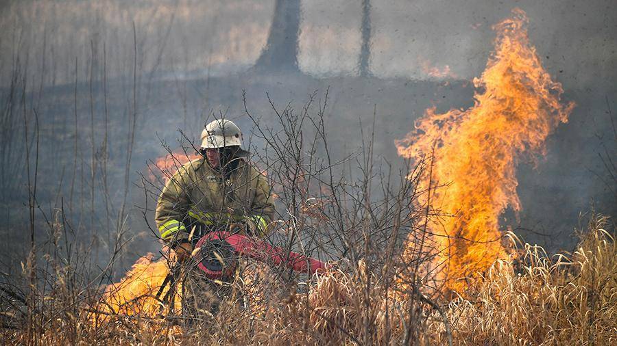 В МЧС пожаловались на нехватку сил по тушению лесных пожаров