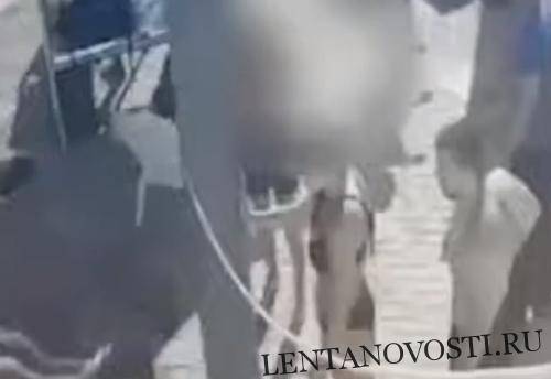 Израиль: Групповая драка в бассейне, жестокое избиение спасателя, есть раненые