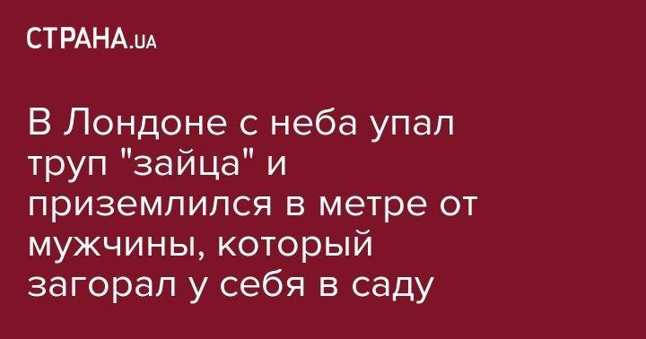 В Лондоне с неба упал труп "зайца" и приземлился в метре от мужчины, который загорал у себя в саду