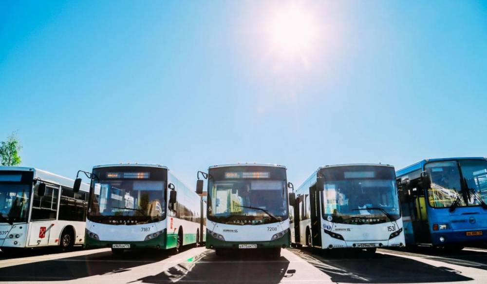В Петергофе временно меняются маршруты автобусов