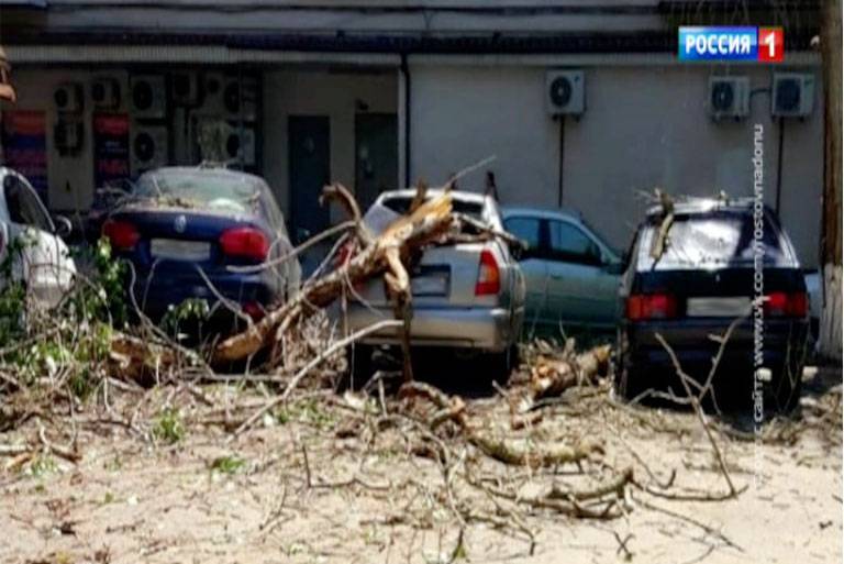 В центре Ростова на несколько машин рухнуло дерево