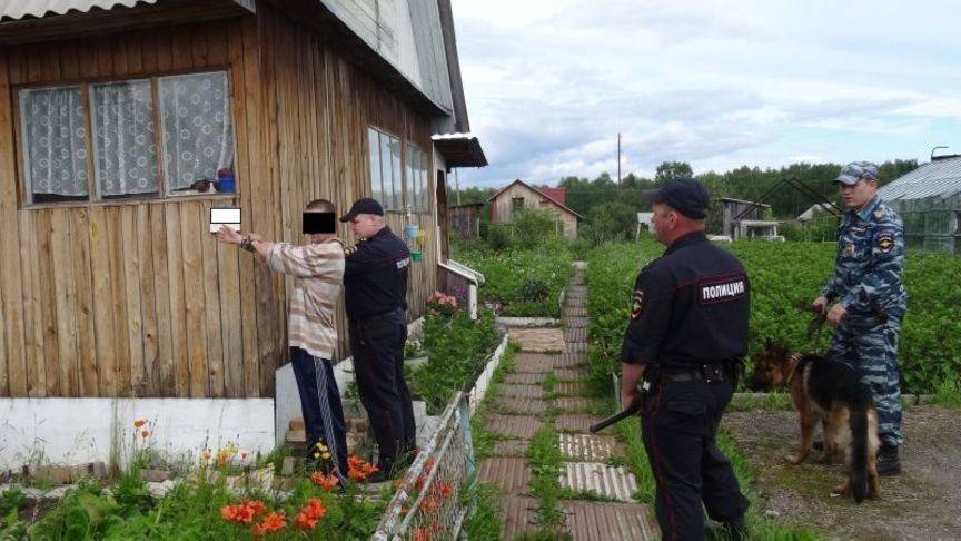 В Кировской области осудили «садового воришку»