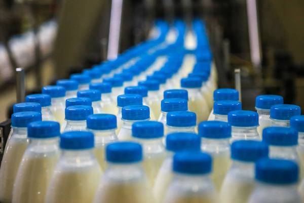 В Казани запустили производство молочного комбината