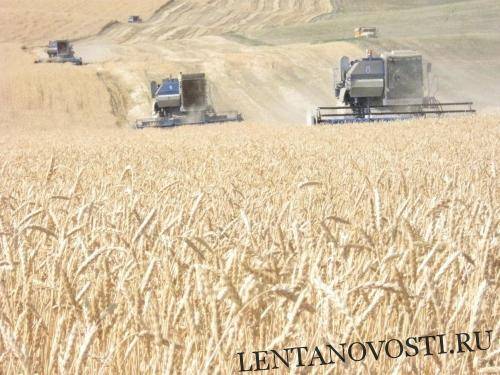 В России намолочено почти 13 млн тонн зерна урожая-2019