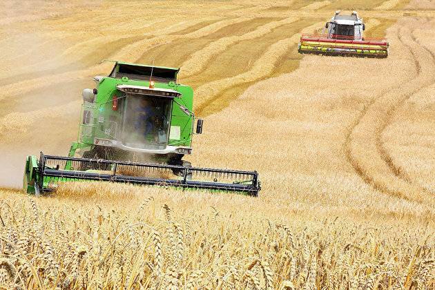Летняя жара в РФ немного снизила прогнозы экспертов по урожаю зерна в 2019 г
