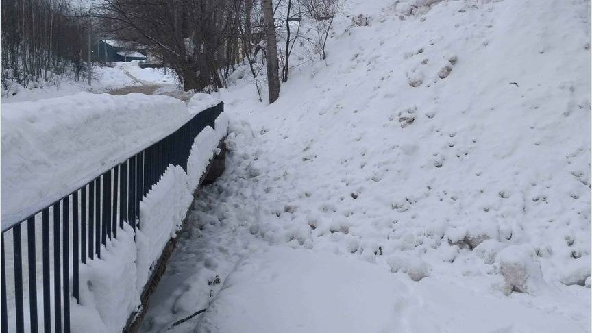 В Кирове выявили организаторов незаконной снежной свалки
