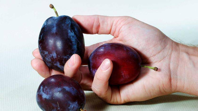 Эффективно и вкусно: названа польза летнего фрукта