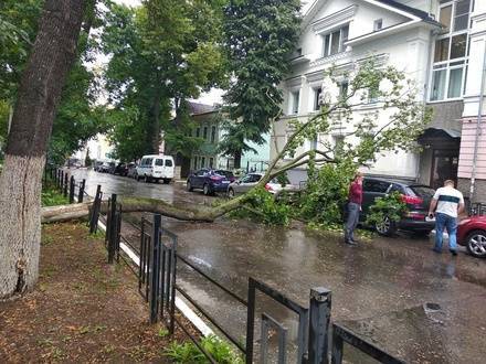 Машины завалило деревьями после урагана в&nbsp;Нижегородской области