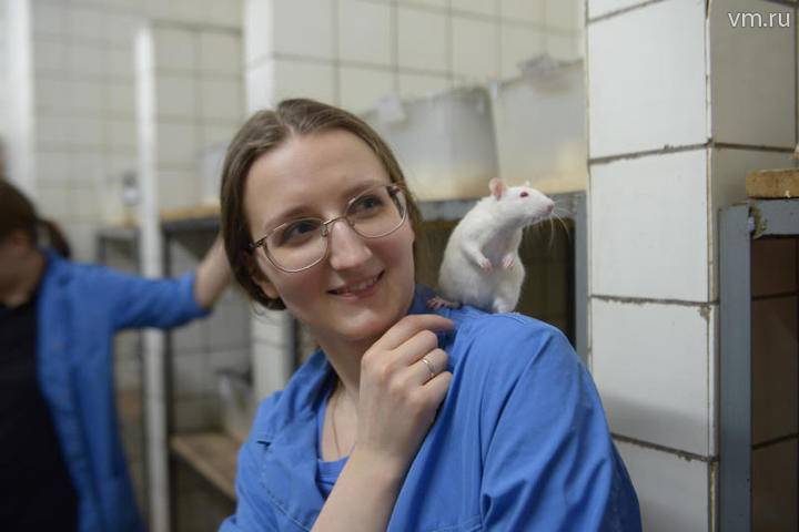 Ученые из Небраски «стерли» ВИЧ из ДНК 23 мышей