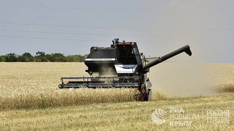 В Крыму собрали уже 700 тысяч тонн зерновых
