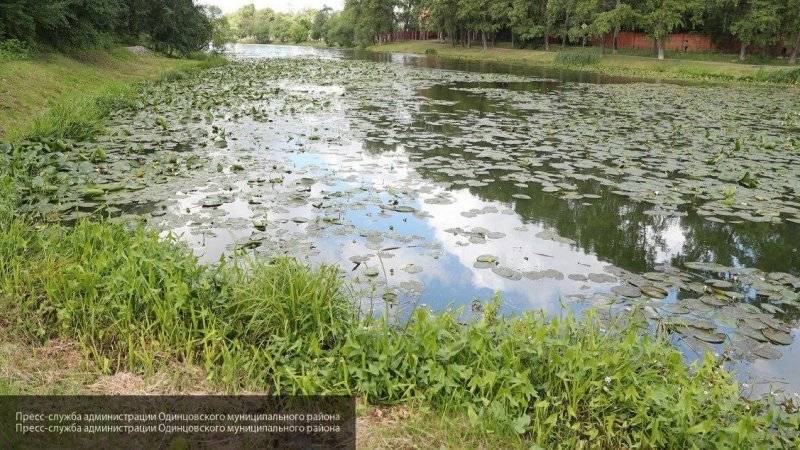 Глава Одинцовского округа Андрей Иванов проверил зловонный пруд в Немчиновке