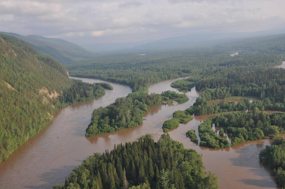 Путин объявил ЧС федерального масштаба из-за наводнения в Иркутской области