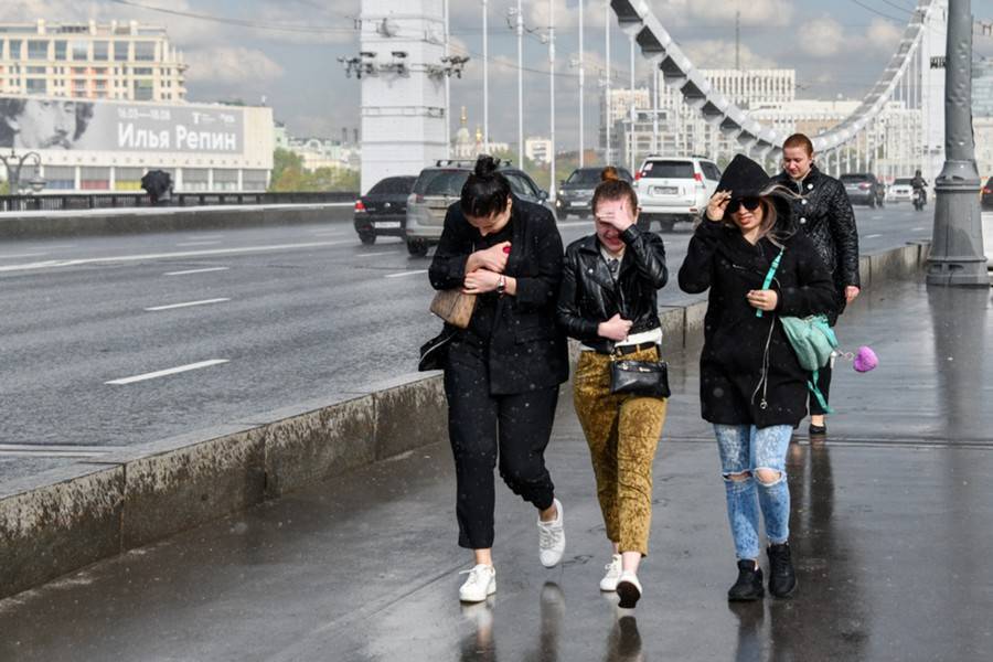 МЧС предупредило москвичей об усилении ветра
