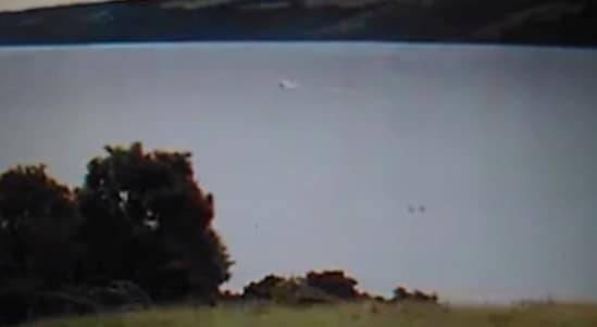 Видео сразу с двумя Лохнесскими чудовищами появилось в Сети