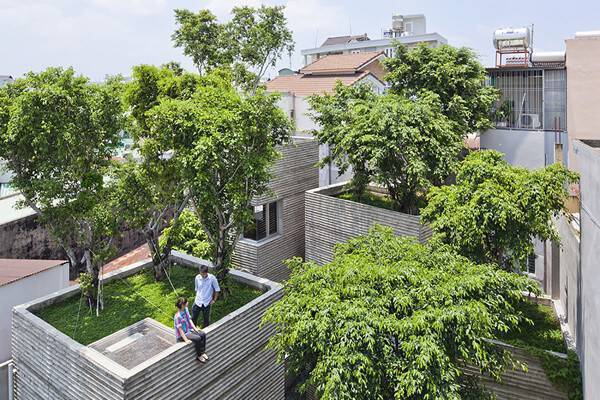 В китайском "Зеленом городе" деревья высадят на домах
