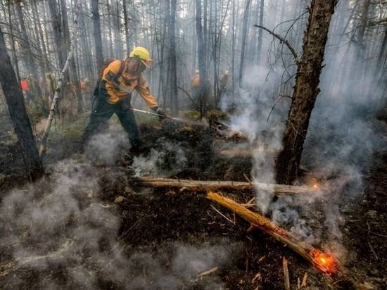 Тушить пожары в Сибири оказалось «нерентабельно»