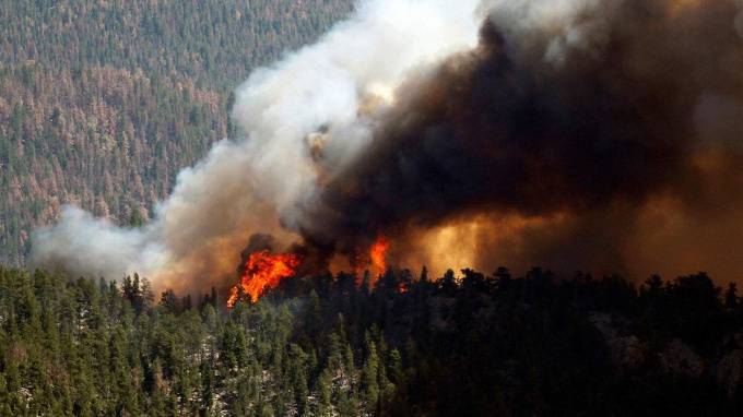 Красноярский губернатор назвал тушение лесных пожаров бессмысленным и "даже где-то вредным"