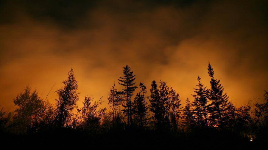 Режим ЧС из-за лесных пожаров ввели в Красноярском крае и Иркутской области