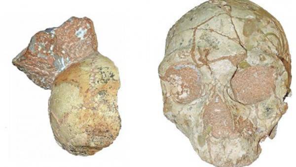 Археологи обнаружили древнейшие останки людей за пределами Африки