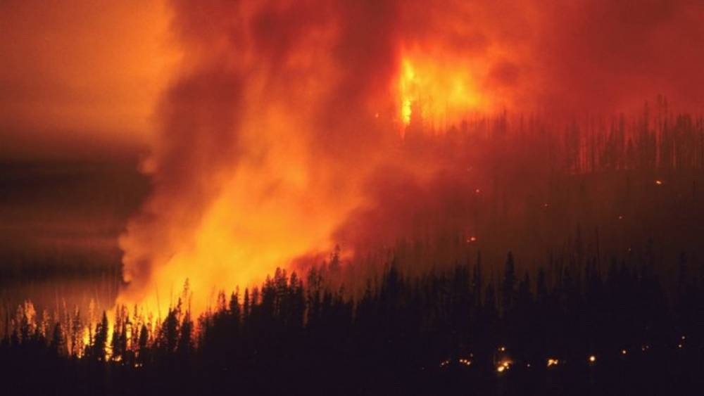 В трех самых "горимых" регионах России из-за лесных пожаров введен режим ЧС