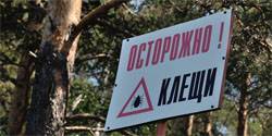 От укусов клещей пострадало более 1694 жителей Орловской области