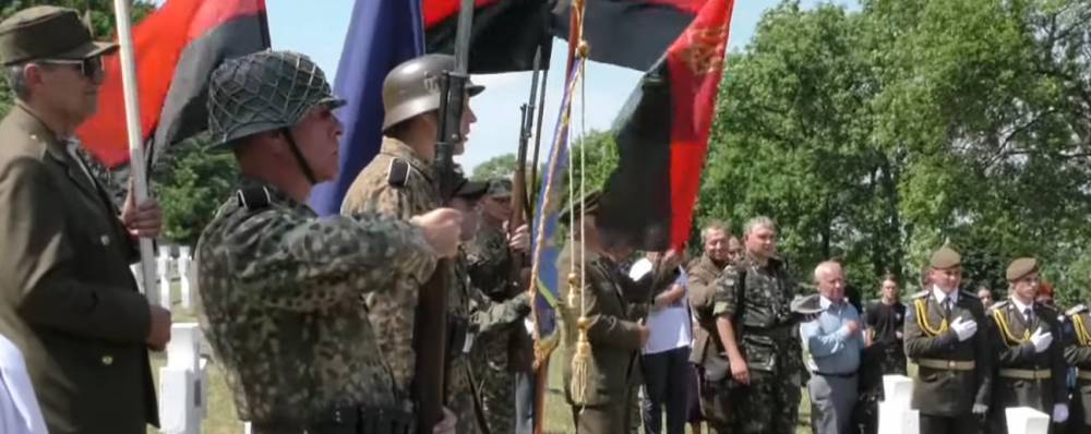 Соратник Зеленского потребовал объяснить отдание воинских почестей СС-овцам | Новороссия