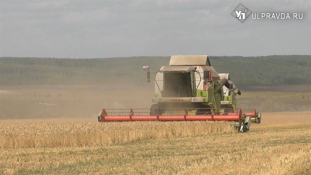 Ульяновские земледельцы приступили к уборке озимой пшеницы и трав