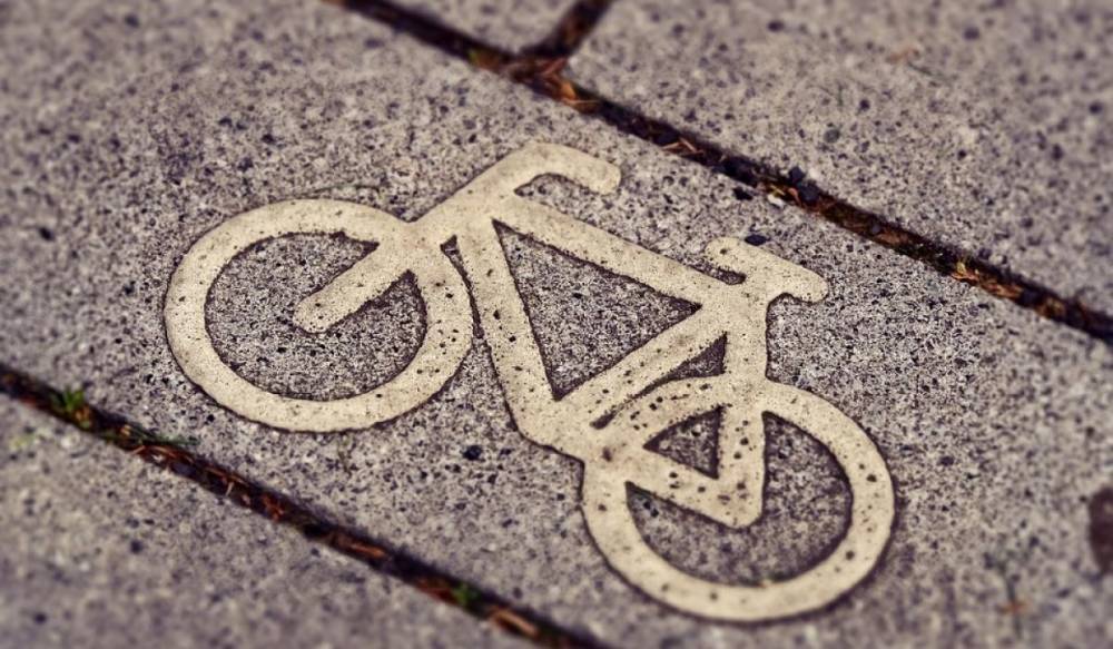 Вокруг Петербурга может появиться кольцевая велодорожка