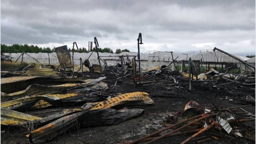 В Кировской области при пожаре в тепличном комплексе погибли четыре человека