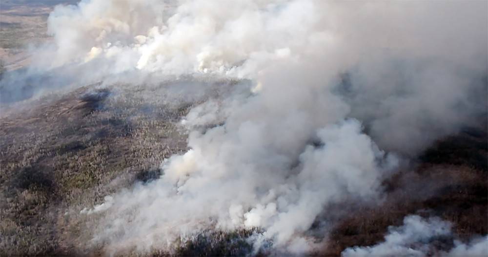 Видео из российских регионов, где бушуют лесные пожары