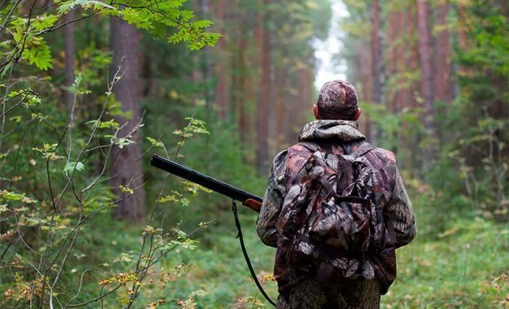 В Беларуси изменен закон об охоте и ведении охотничьего хозяйства