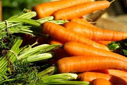 Морковь и&nbsp;картофель подешевели в&nbsp;Нижегородской области