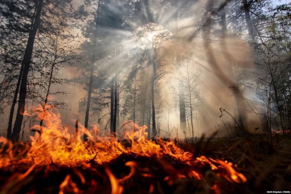 Из-за лесных пожаров режим ЧС введён в трёх регионах Сибири