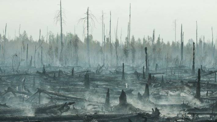 Медведев считает «сложным» прогноз по лесным пожарам в Сибири