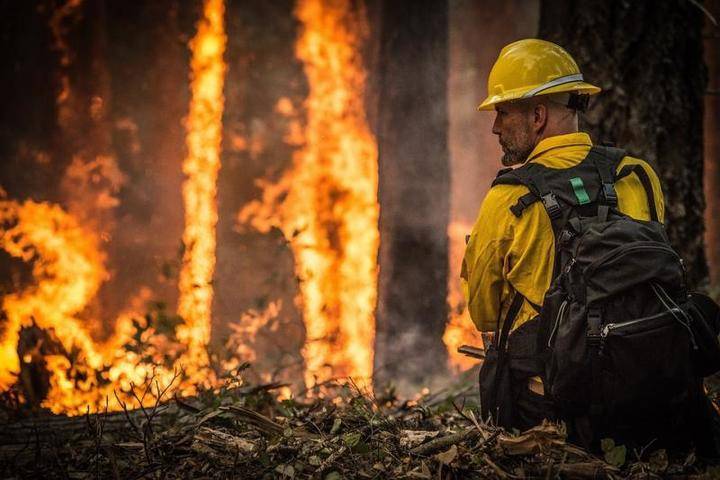 Эксперт оценил слова губернатора Красноярского края о бессмысленности тушения лесных пожаров