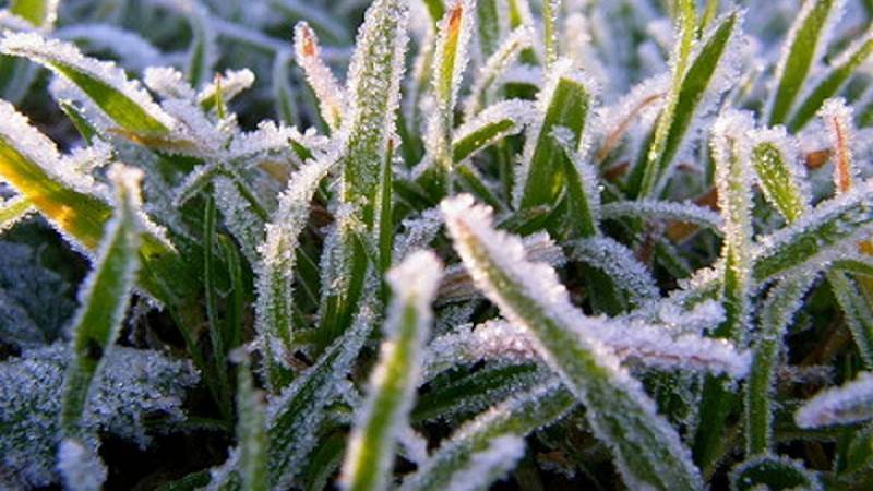 Завтра в Башкирии прогнозируются заморозки до 0 градусов