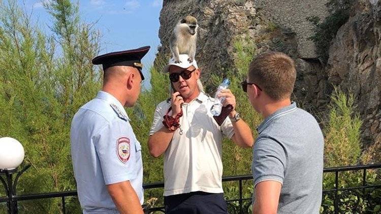 В Крыму провели облавы на фотографов с животными