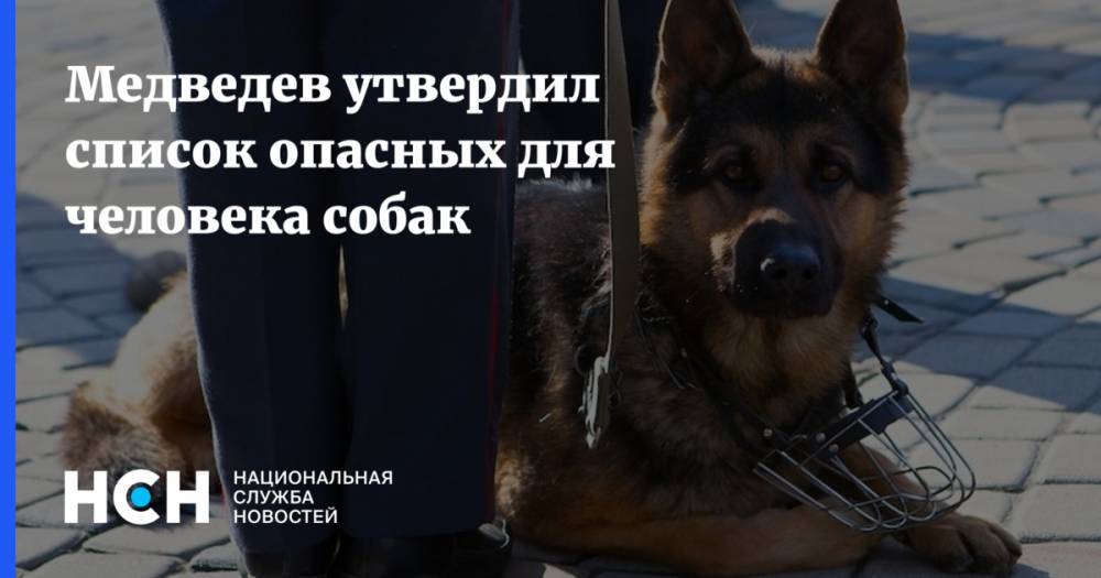 Медведев утвердил список опасных для человека собак