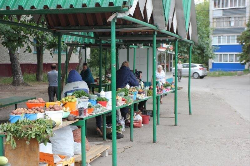 В августе в Ульяновске развернётся борьба с незаконной торговлей