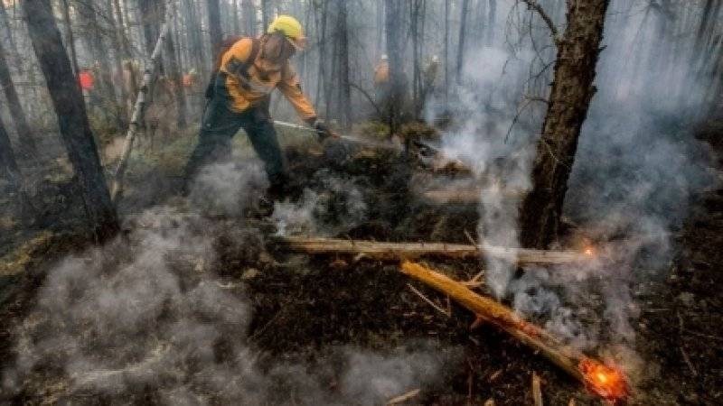 Замглавы МЧС приехал в Красноярский край координировать тушение пожаров