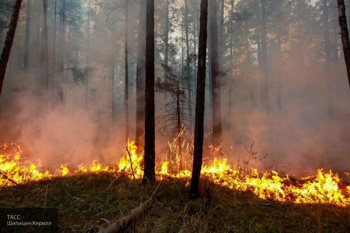 В Красноярском крае горит миллион гектаров леса