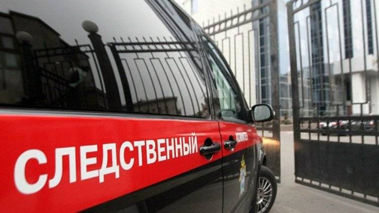 СКР возбудил дело по факту несогласованной акции в центре Москвы