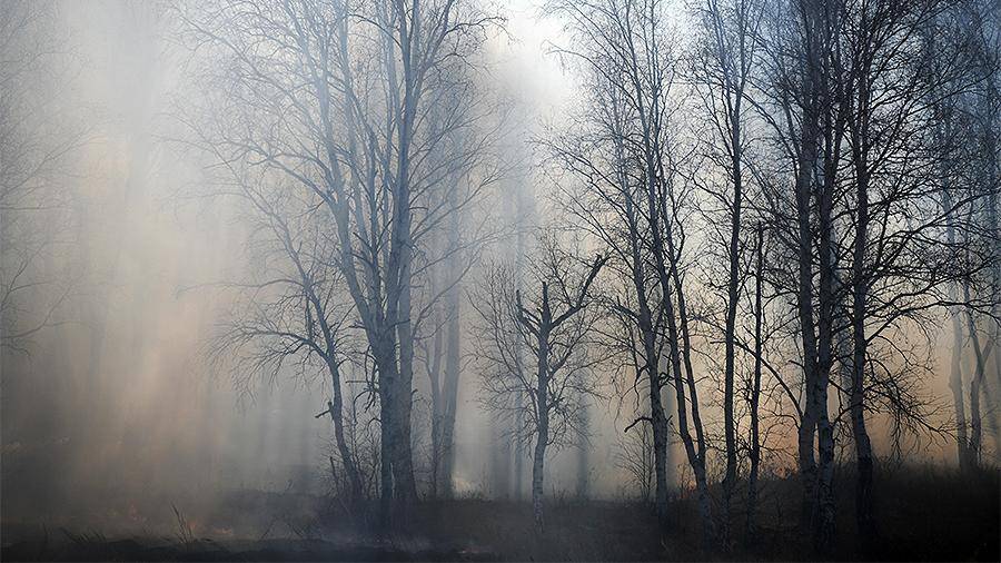 Режим ЧС ввели в пяти регионах России из-за лесных пожаров