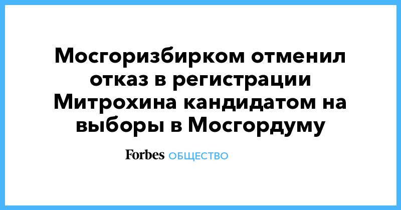 Мосгоризбирком отменил отказ в регистрации Митрохина кандидатом на выборы в Мосгордуму
